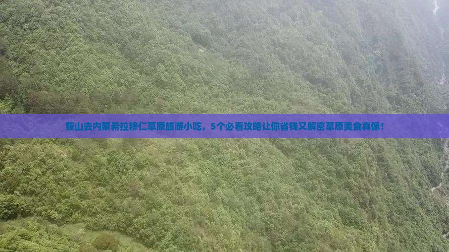 鞍山去内蒙希拉穆仁草原旅游小吃