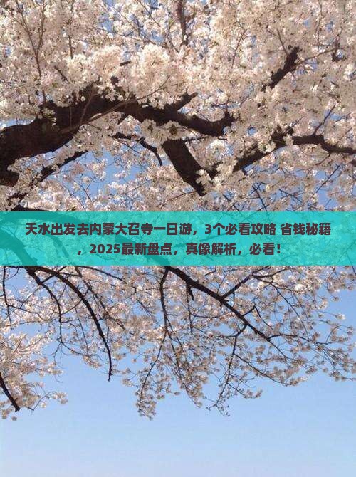天水去内蒙大召寺一日游