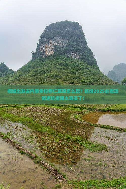 桐城去内蒙希拉穆仁草原攻略