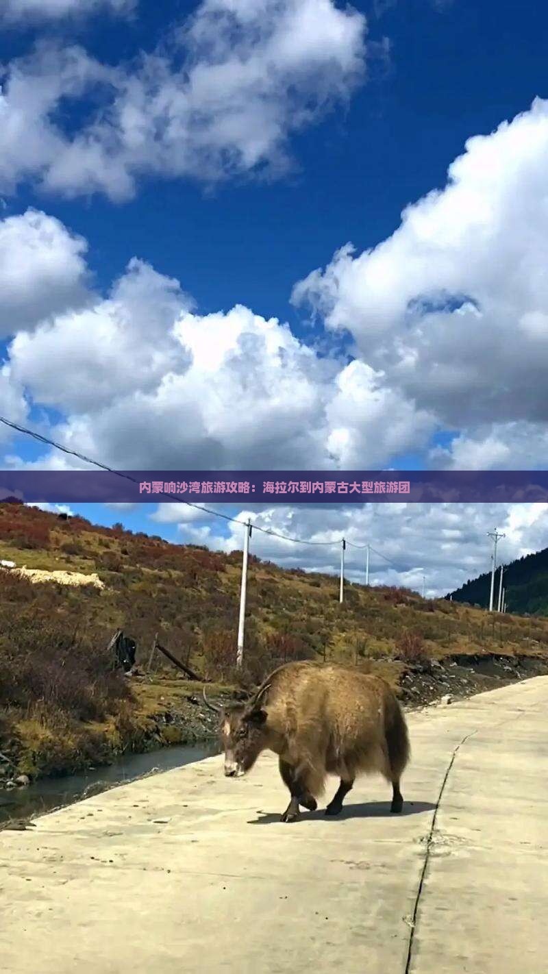 海拉尔到内蒙响沙湾大型旅游团