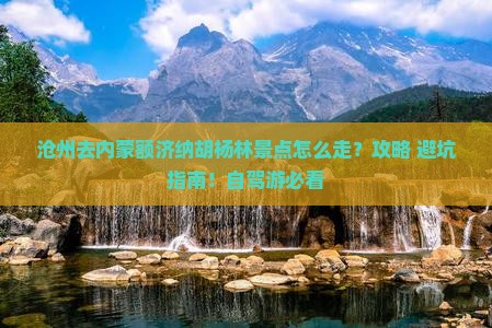 沧州去内蒙额济纳胡杨林景点