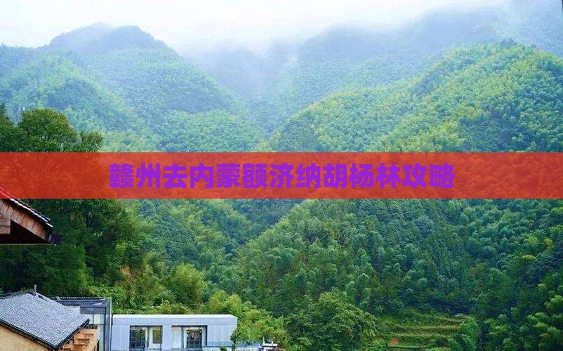 赣州去内蒙额济纳胡杨林景点