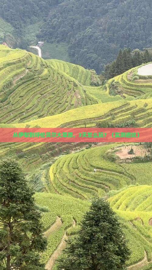 伊犁到内蒙呼伦贝尔大草原自由团