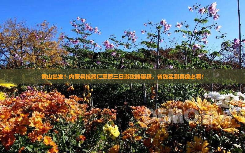 黄山去内蒙希拉穆仁草原三日游
