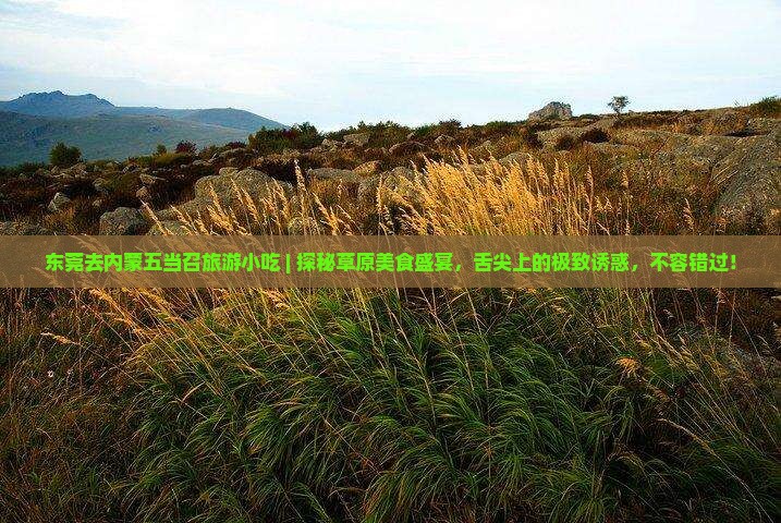 东莞去内蒙五当召旅游小吃