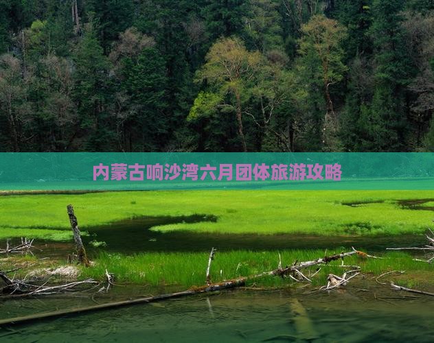 六月去内蒙响沙湾团体旅游