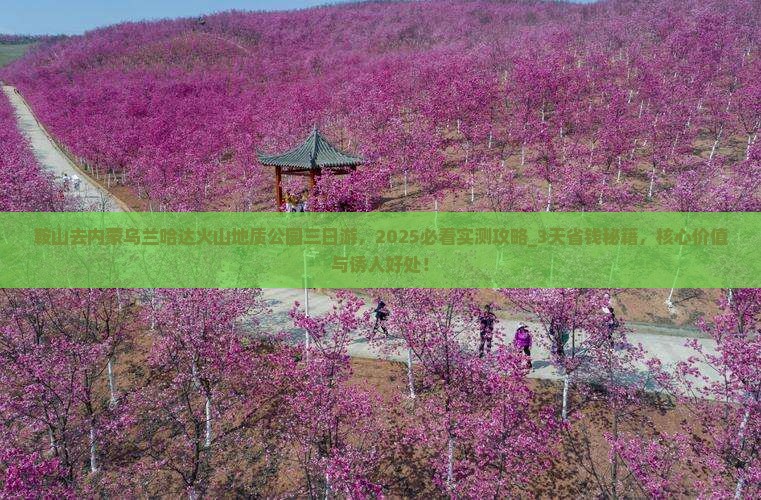 鞍山去内蒙乌兰哈达火山地质公园三日游