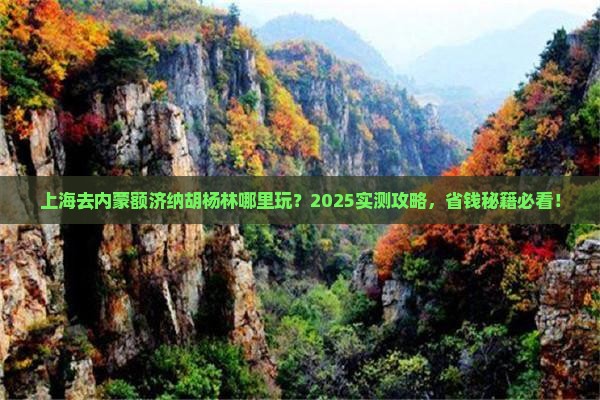 上海去内蒙额济纳胡杨林哪里玩
