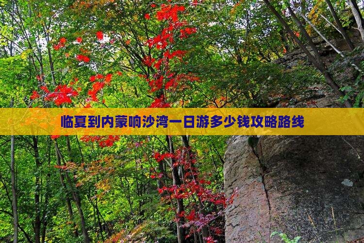 临夏到内蒙响沙湾一日游