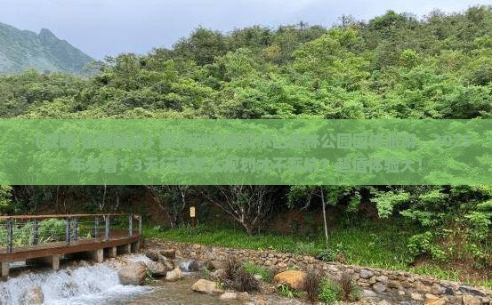 银川到内蒙阿尔山国家森林公园团体旅游
