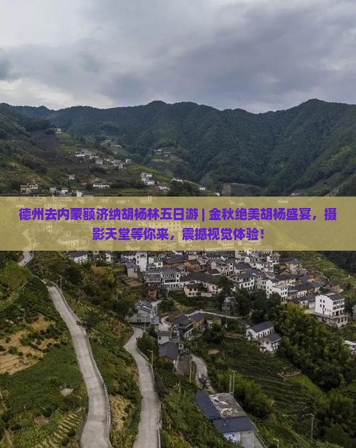 德州去内蒙额济纳胡杨林五日游
