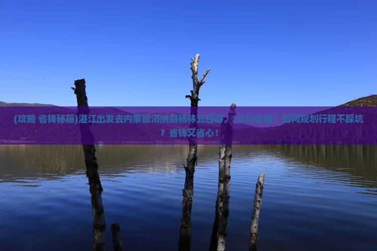 湛江去内蒙额济纳胡杨林五日游