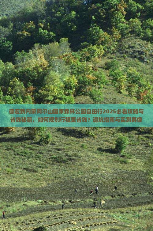 德宏到内蒙阿尔山国家森林公园自由行