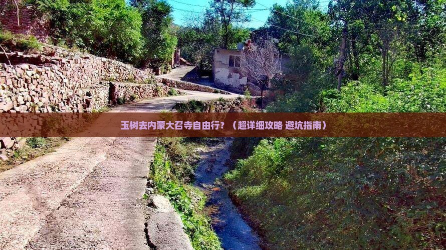 玉树去内蒙大召寺自由行