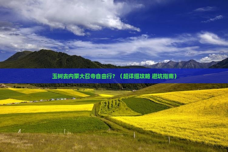 玉树去内蒙大召寺自由行