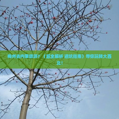 梅州去内蒙旅游