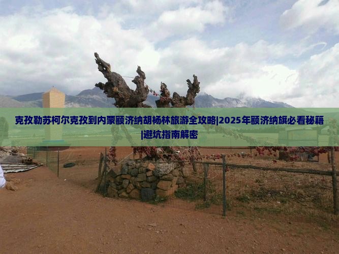 克孜勒苏柯尔克孜到内蒙额济纳胡杨林哪里玩
