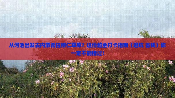 河池到内蒙希拉穆仁草原必去地