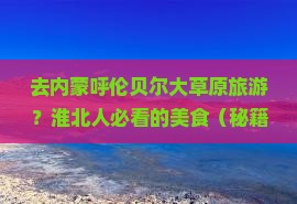 淮北去内蒙呼伦贝尔大草原旅游小吃