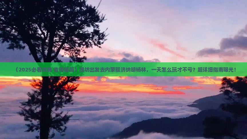 潍坊到内蒙额济纳胡杨林一日游