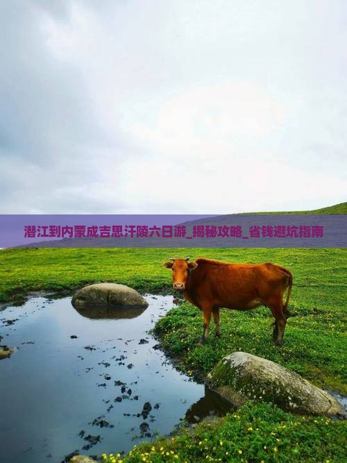 潜江到内蒙成吉思汗陵六日游