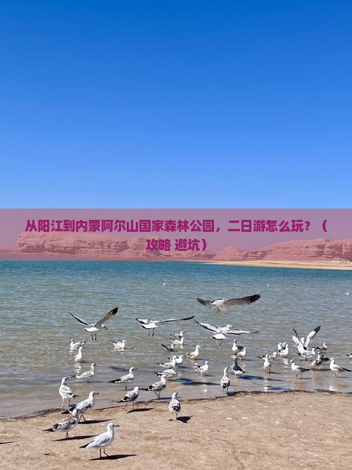 阳江到内蒙阿尔山国家森林公园二日游