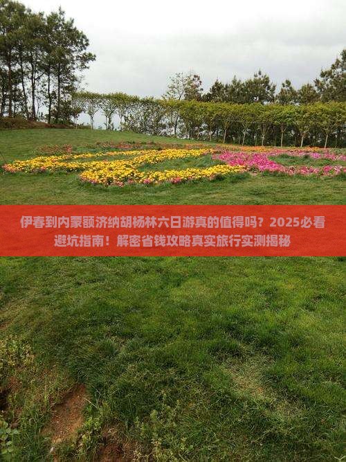 伊春到内蒙额济纳胡杨林六日游