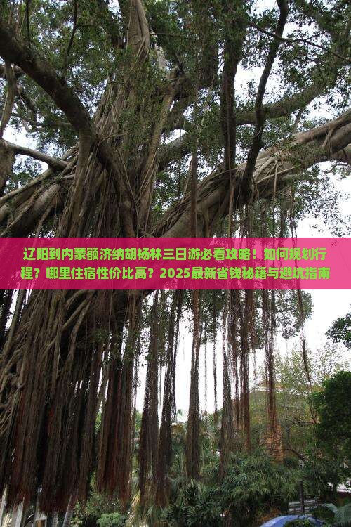 辽阳到内蒙额济纳胡杨林三日游