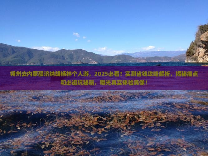 朔州去内蒙额济纳胡杨林个人游