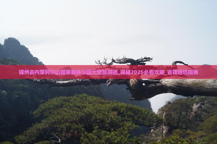 锦州去内蒙阿尔山国家森林公园大型旅游团