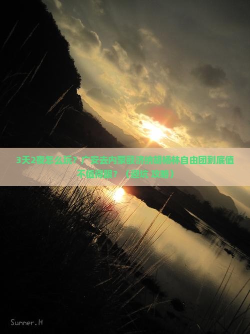 广安去内蒙额济纳胡杨林自由团
