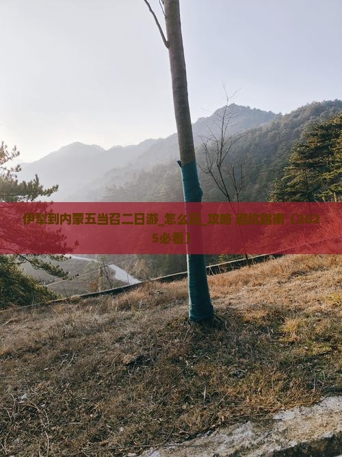伊犁到内蒙五当召二日游