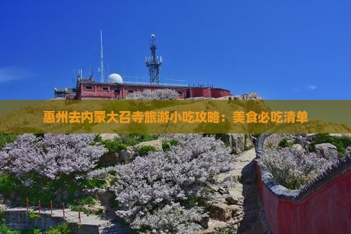 惠州去内蒙大召寺旅游小吃