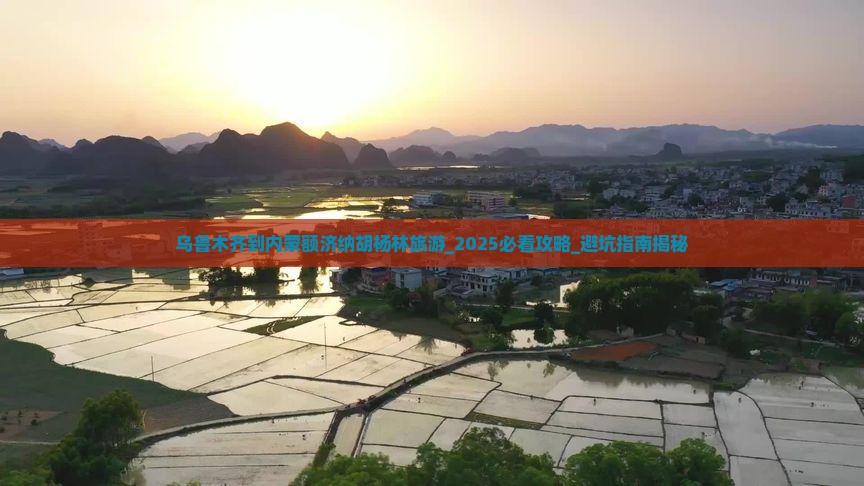 乌鲁木齐到内蒙额济纳胡杨林旅游