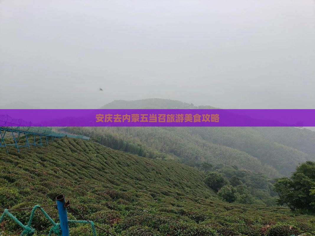 安庆去内蒙五当召旅游小吃
