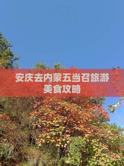 安庆去内蒙五当召旅游小吃