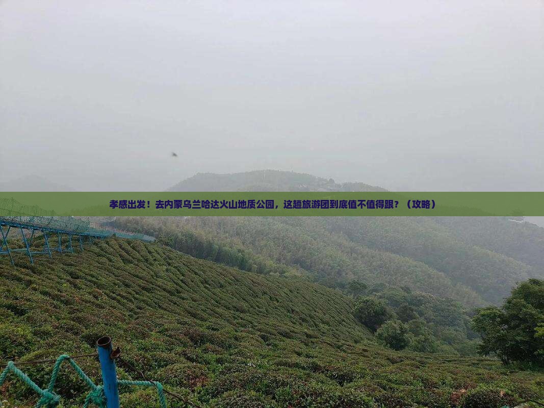 孝感去内蒙乌兰哈达火山地质公园大型旅游团