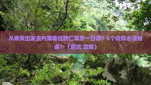 泰安去内蒙希拉穆仁草原一日游
