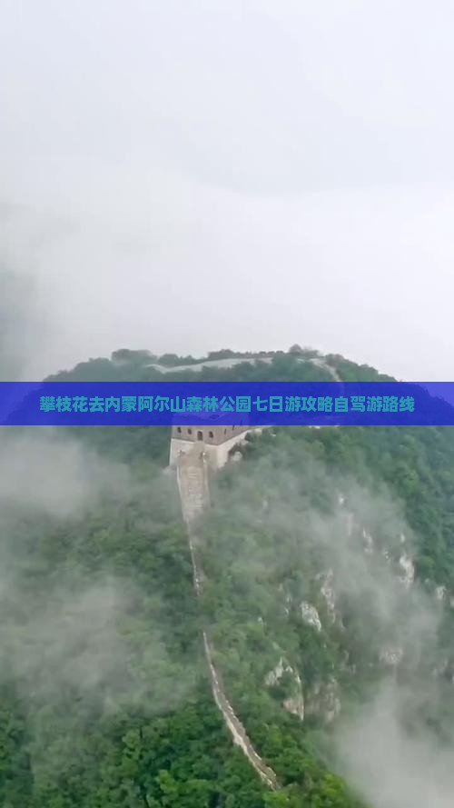 攀枝花去内蒙阿尔山国家森林公园七日游