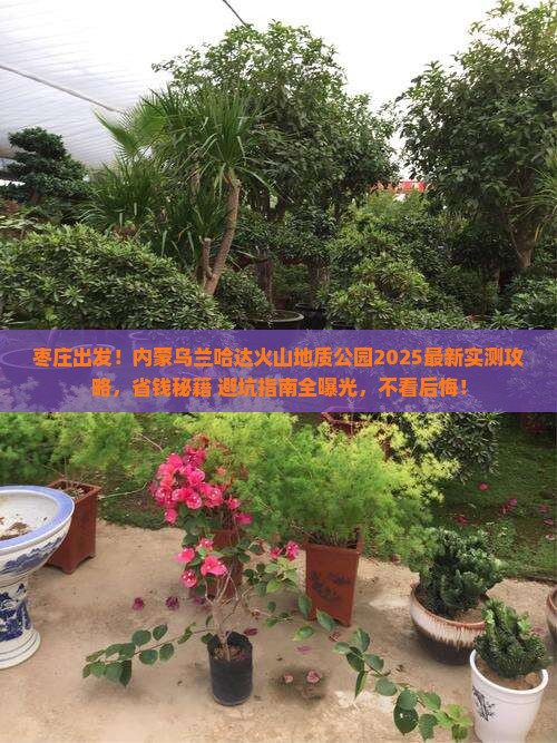 枣庄去内蒙乌兰哈达火山地质公园攻略