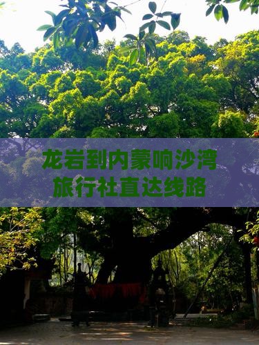 龙岩到内蒙响沙湾旅行社