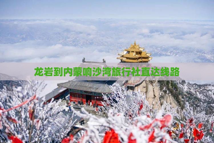 龙岩到内蒙响沙湾旅行社