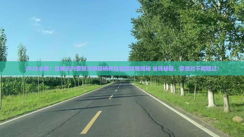 运城去内蒙额济纳胡杨林自由团