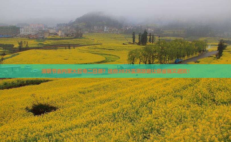 清明节去内蒙大召寺二日游