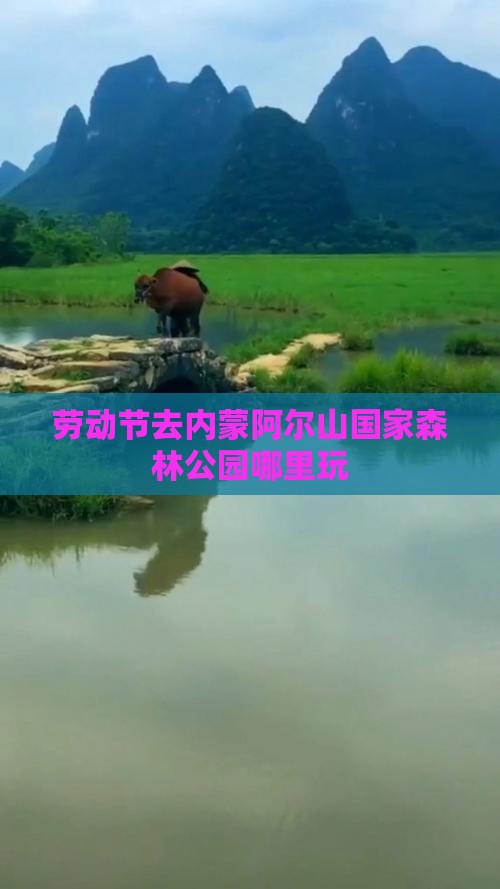 劳动节去内蒙阿尔山国家森林公园哪里玩
