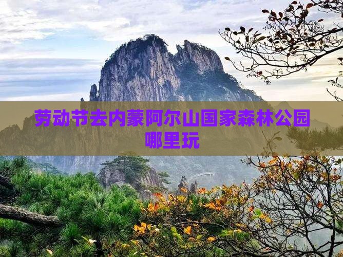 劳动节去内蒙阿尔山国家森林公园哪里玩