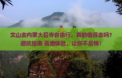文山去内蒙大召寺自由行