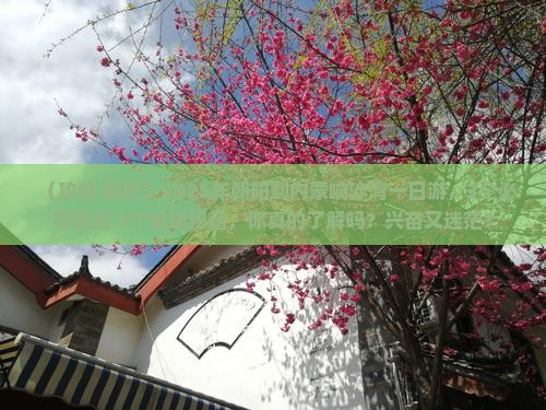 朝阳到内蒙响沙湾一日游 朝阳到内蒙响沙湾一日游