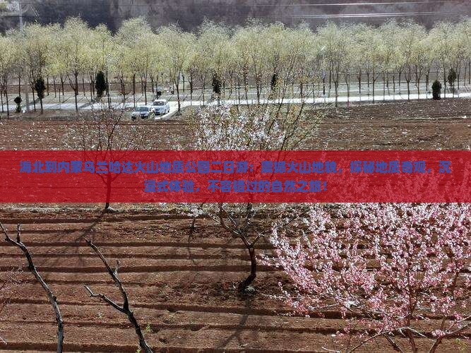 海北到内蒙乌兰哈达火山地质公园二日游