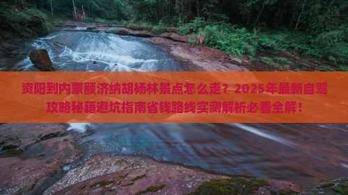 资阳到内蒙额济纳胡杨林景点